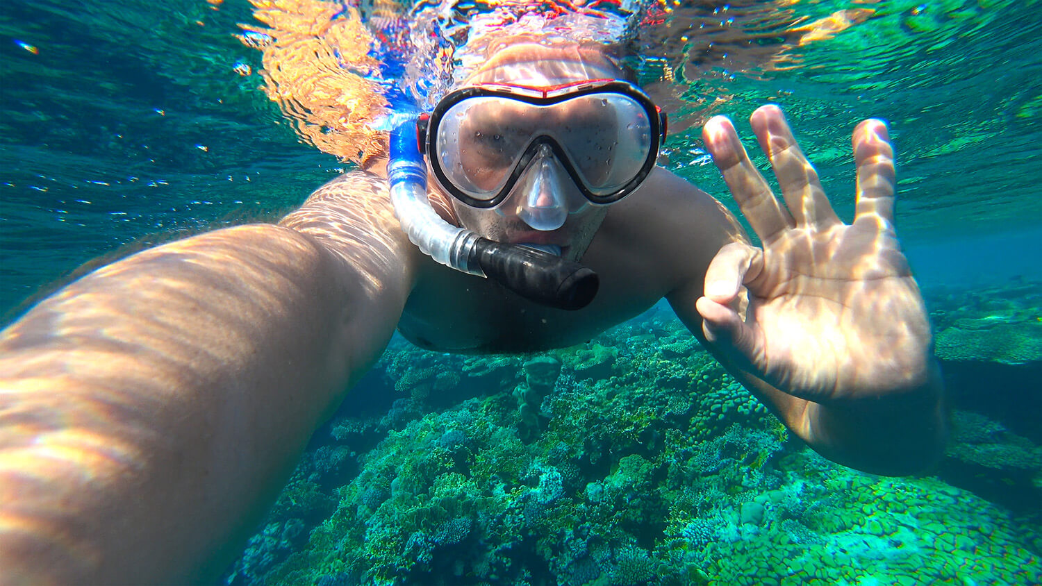 シュノーケリング中の画像