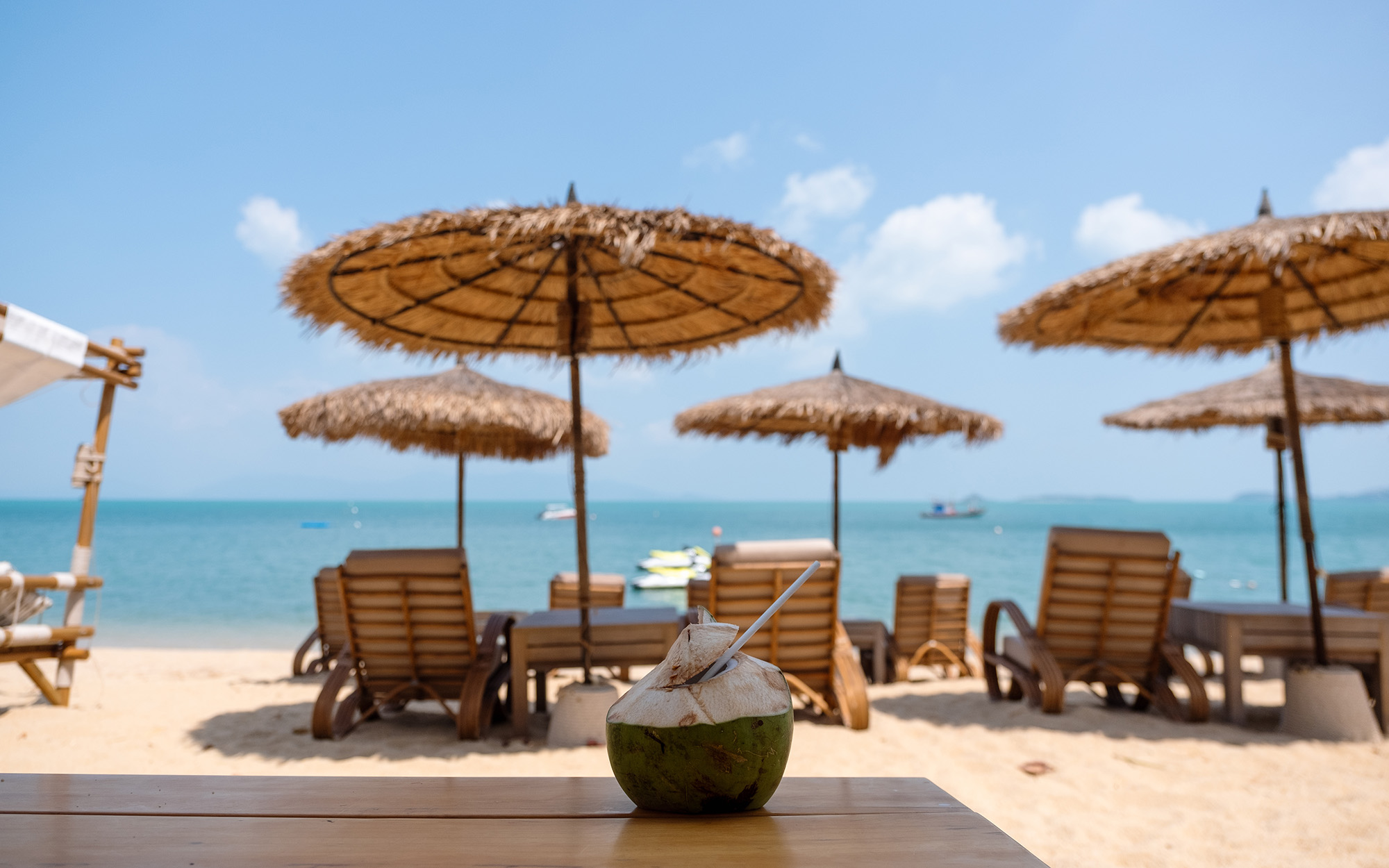 ビーチとココナッツジュース